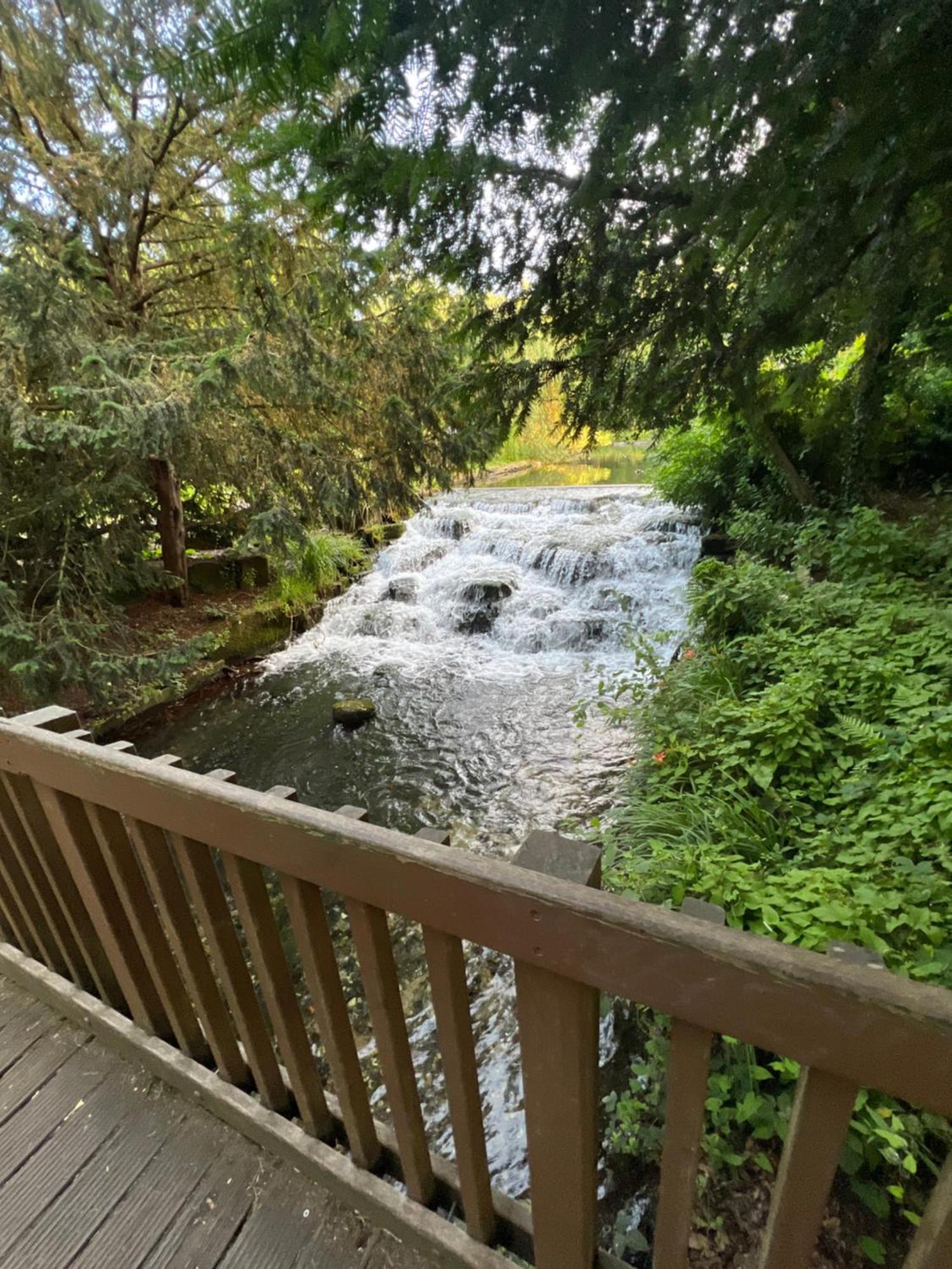Cosy Private Flat In London, Free Parking On Premise Apartment Carshalton Екстериор снимка